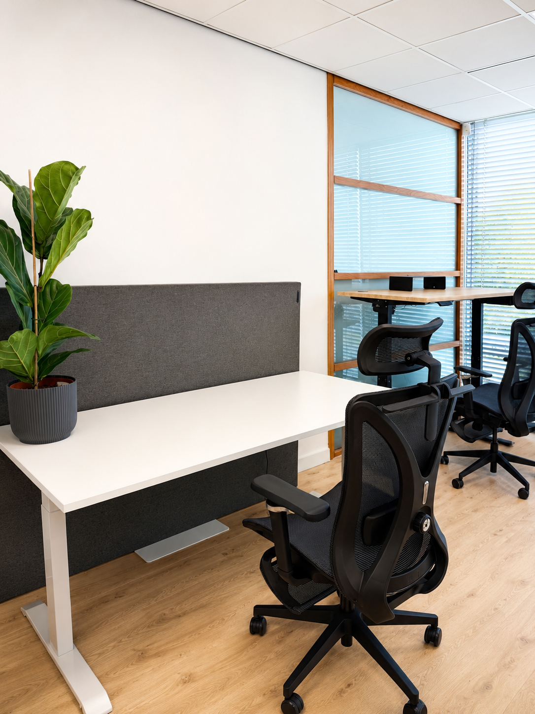 Showroom foto Stabureaus