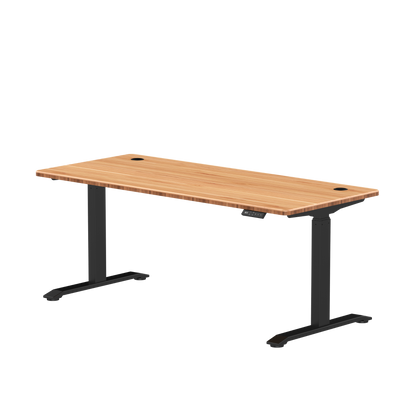 Zit-sta bureau S2 160x70