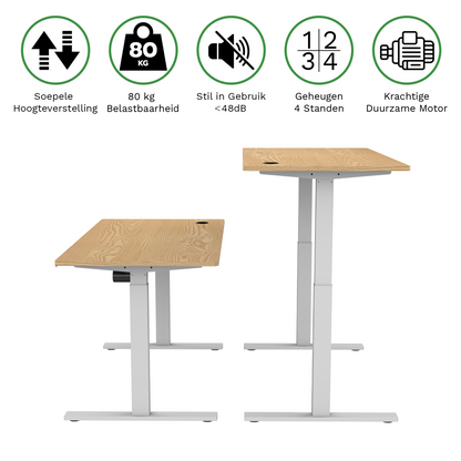 Zit-sta bureau S1 160x70
